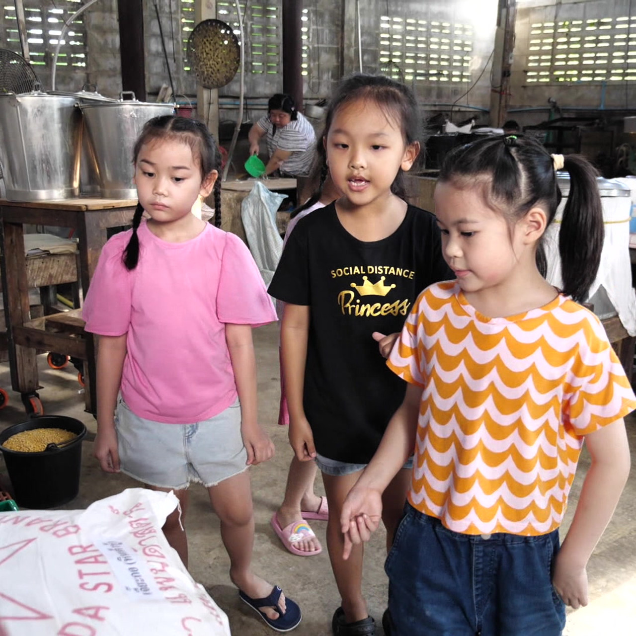 Witnoi671228_1