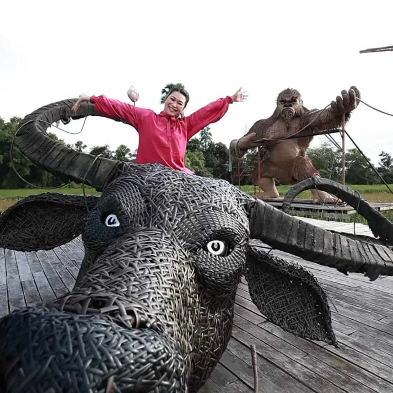 AgedVariety_671226-2