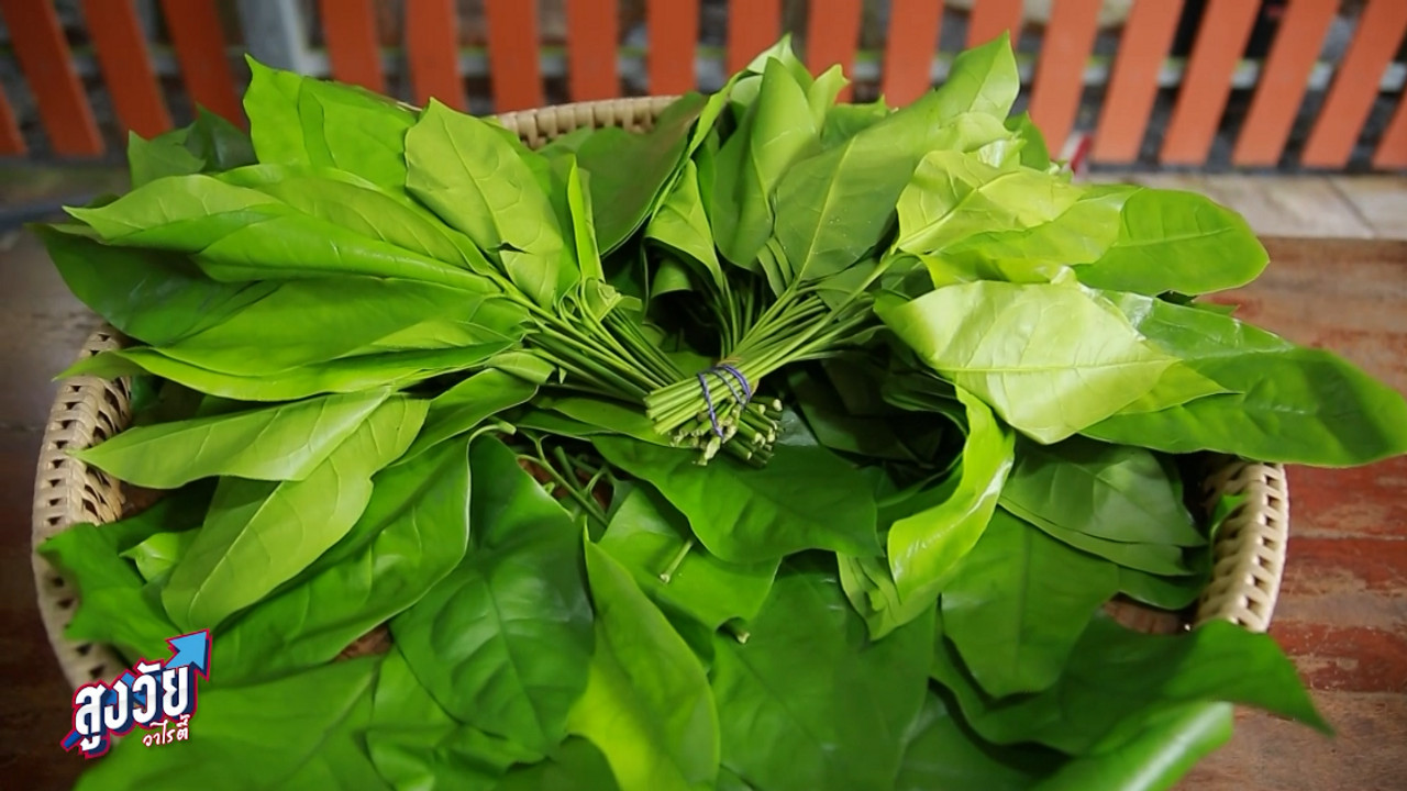 AgedVariety_671220-2