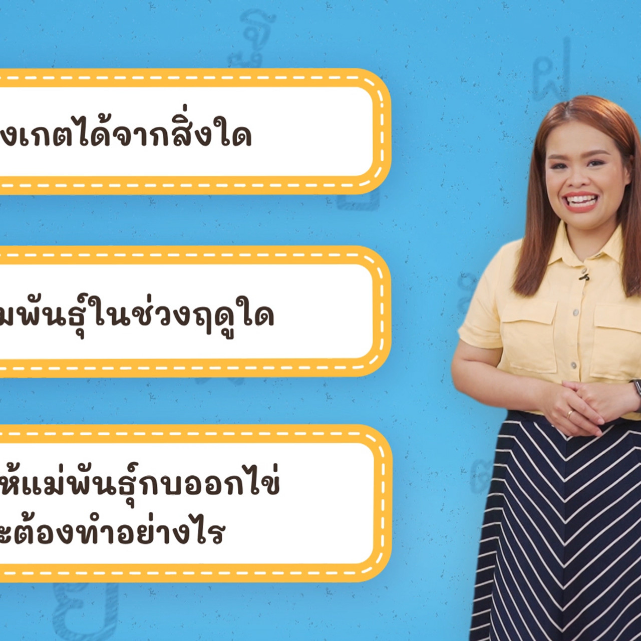 Thai--650618-3