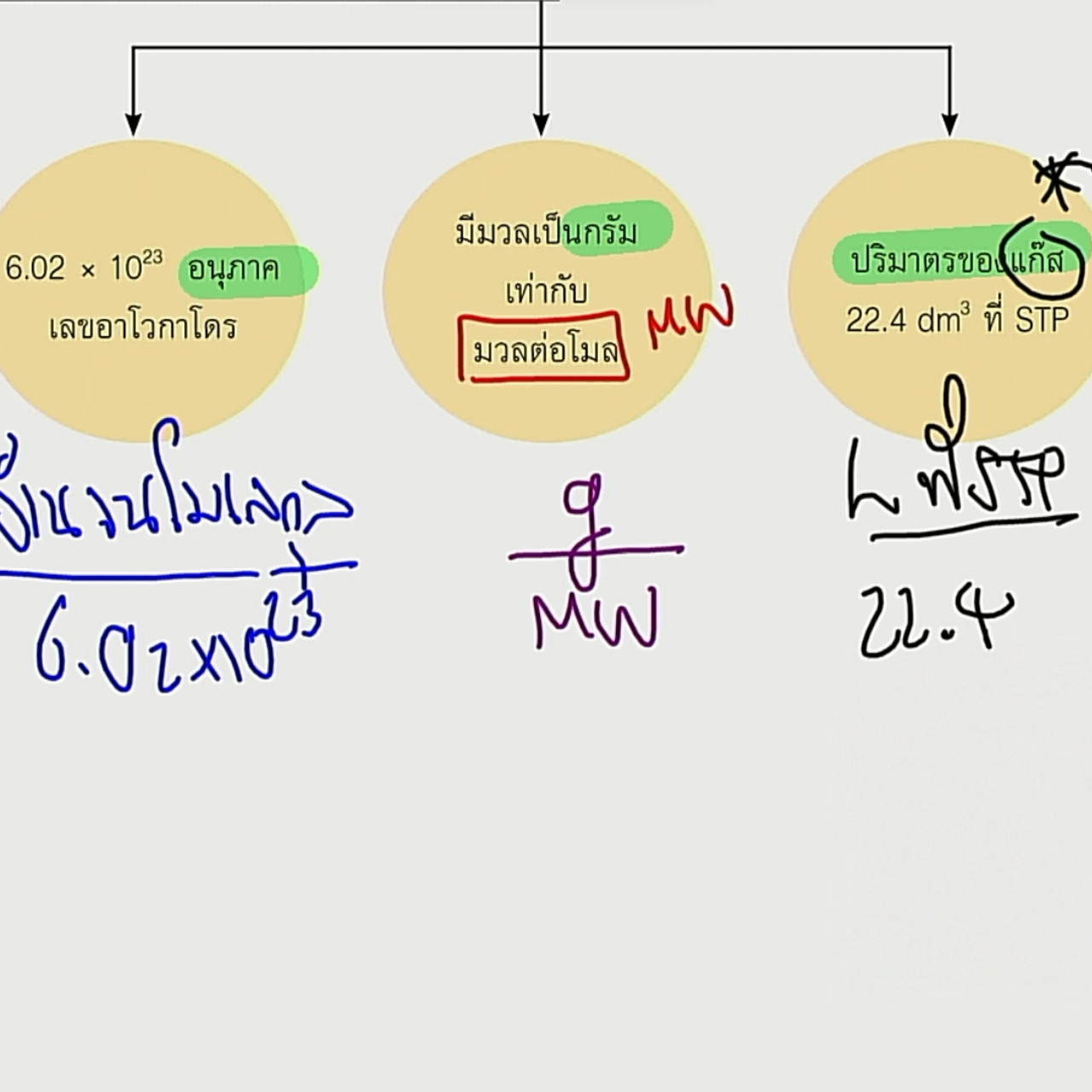 tutorU-650716- (3)