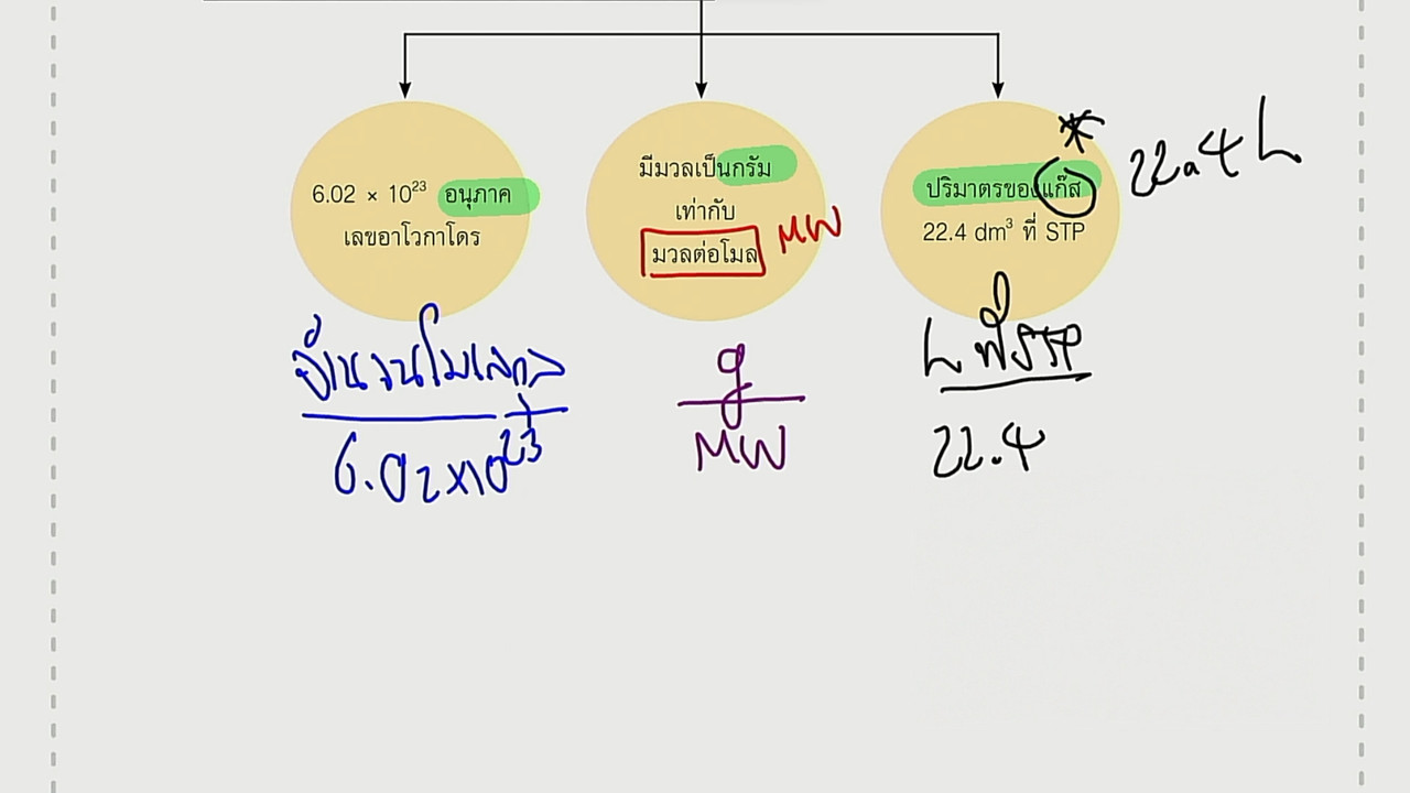 tutorU-650716- (3)