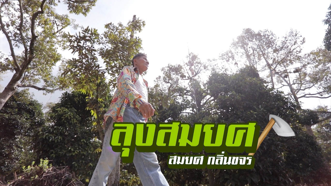 HaveANEWSDay-1-650725- (4)