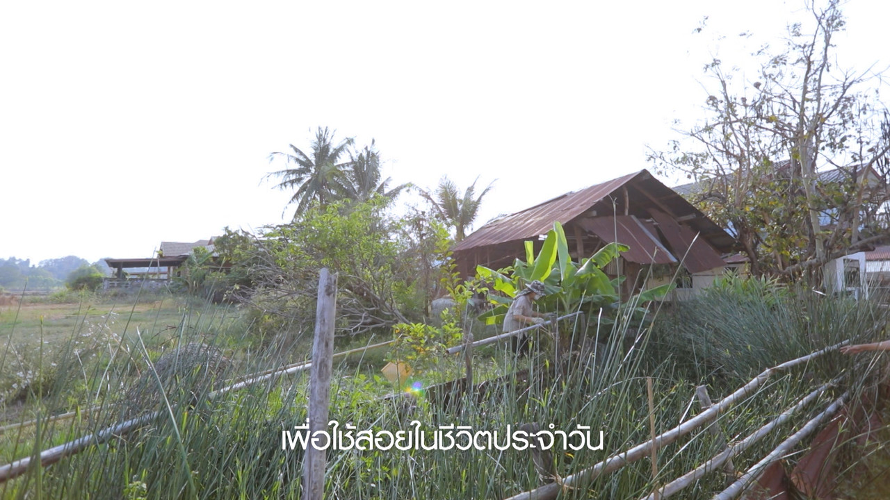HaveANEWSDay-1-650705- (3)