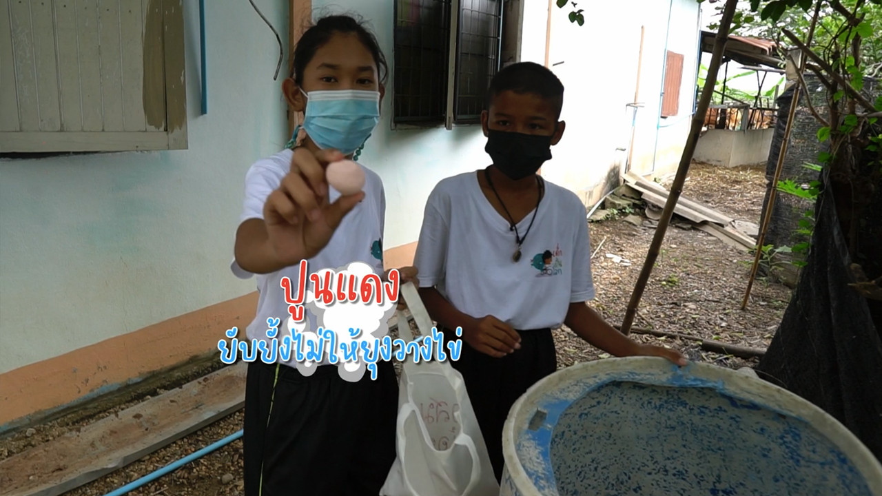 DekPunLok_650706_3