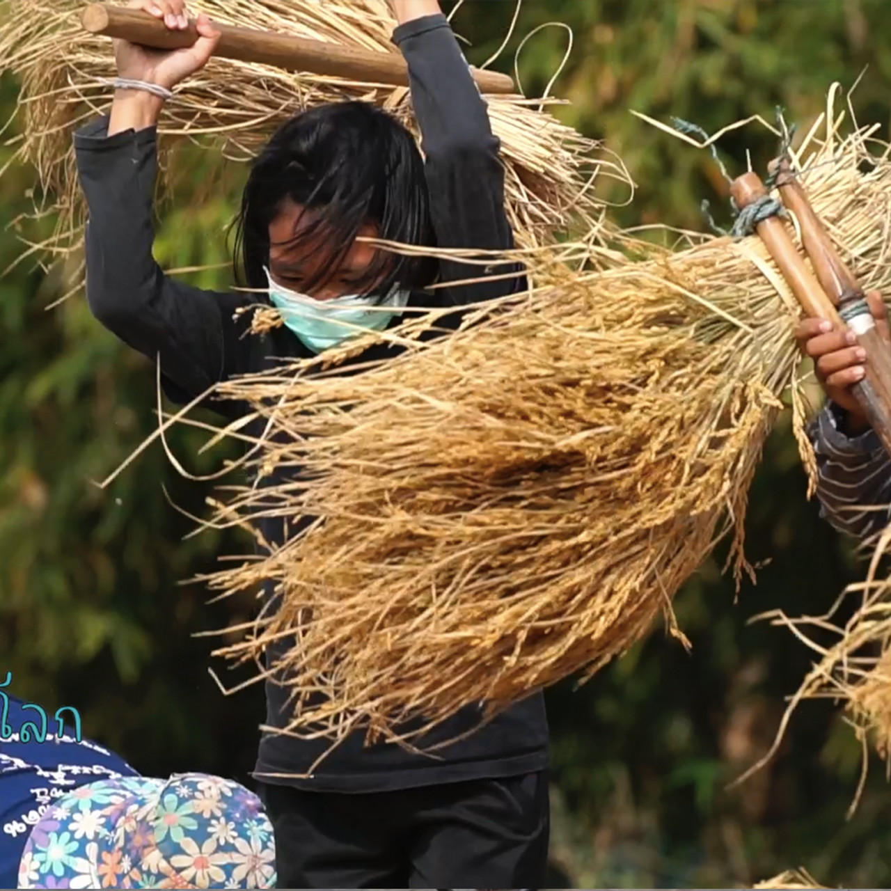 DekPunLok_650713_5