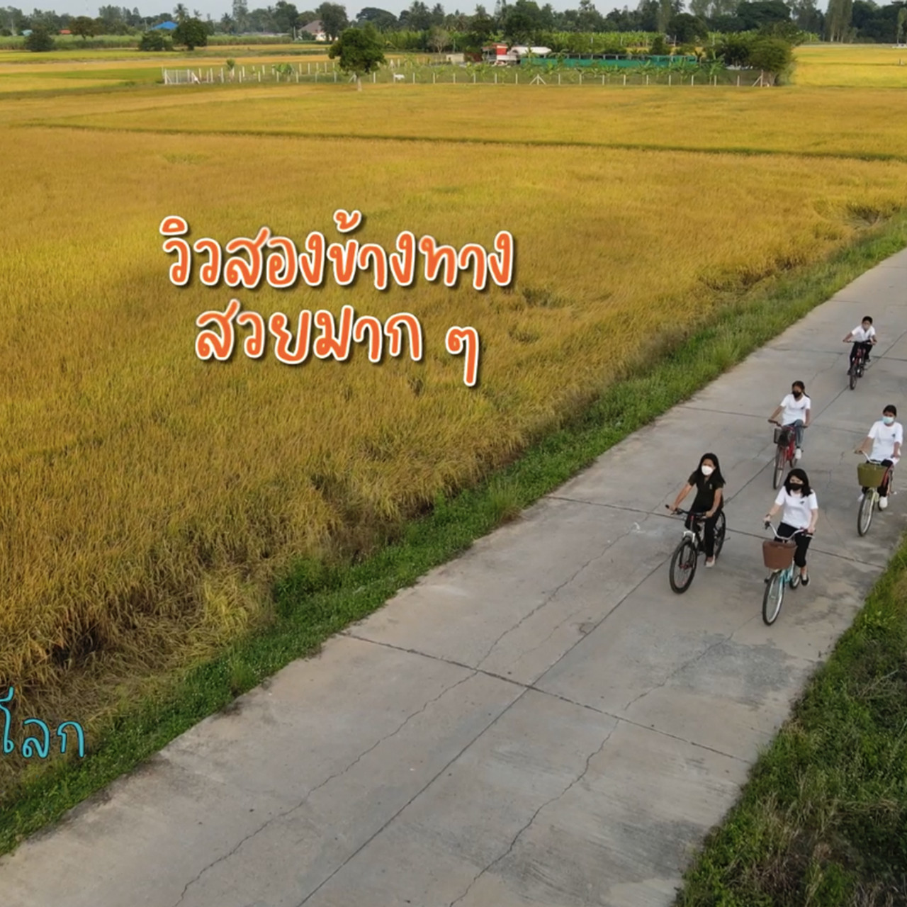 DekPunLok_650707_3