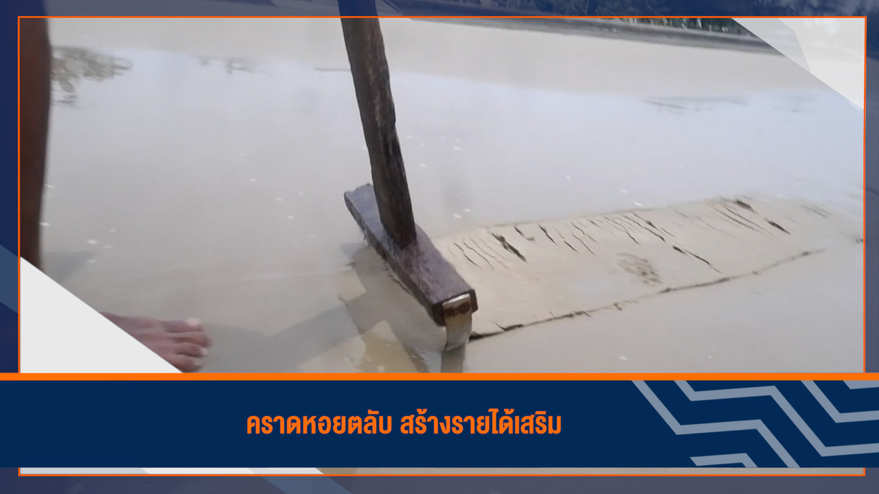 HaveANEWSDay-1-650730- (2)