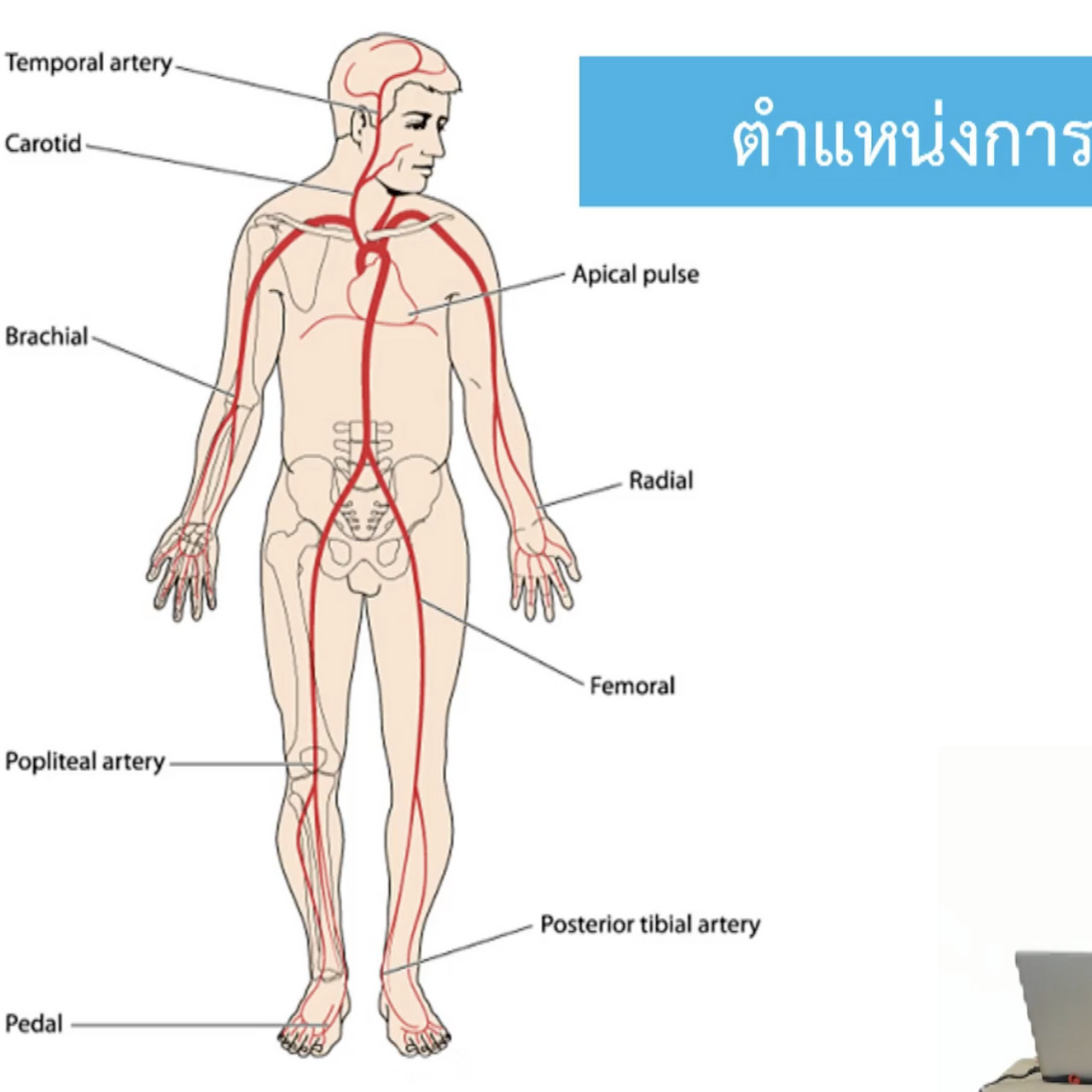 OnlineLearning_2308653