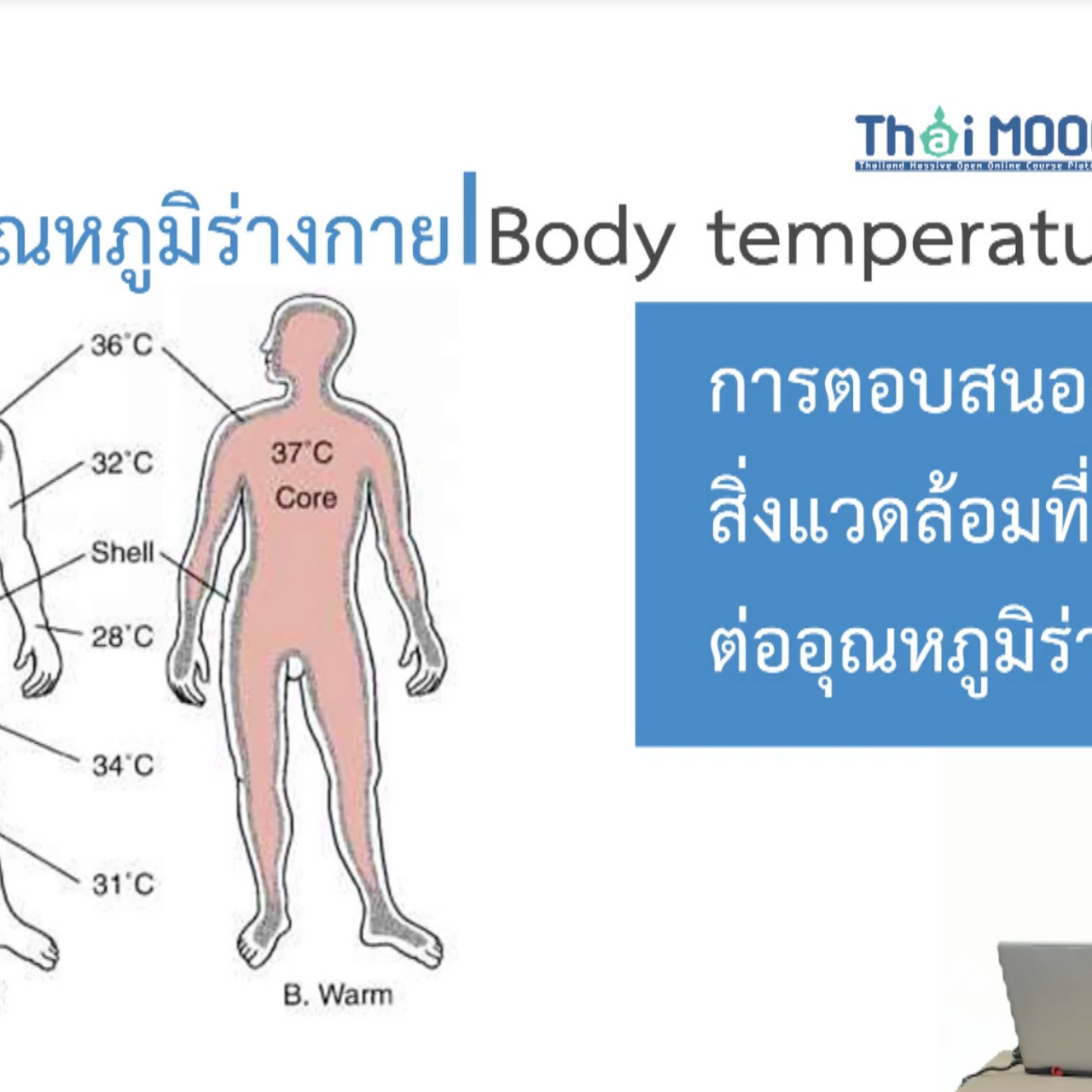 OnlineLearning_2308652
