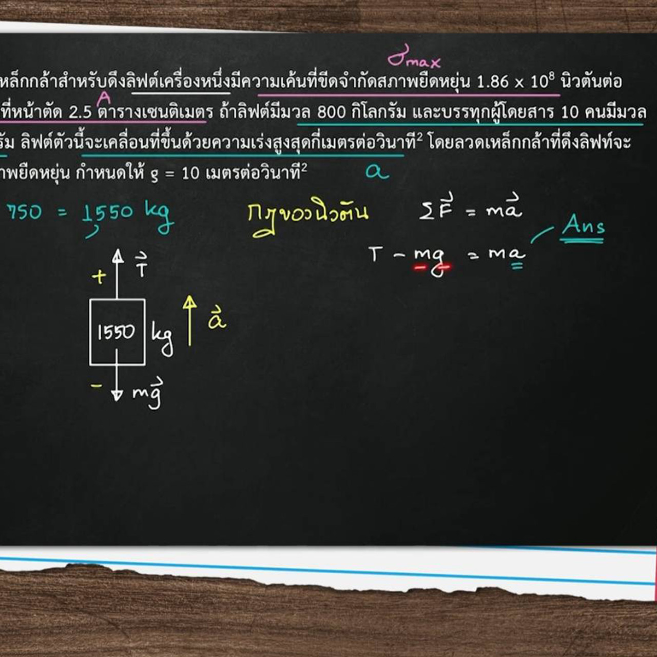TutorTCAS66650901_1