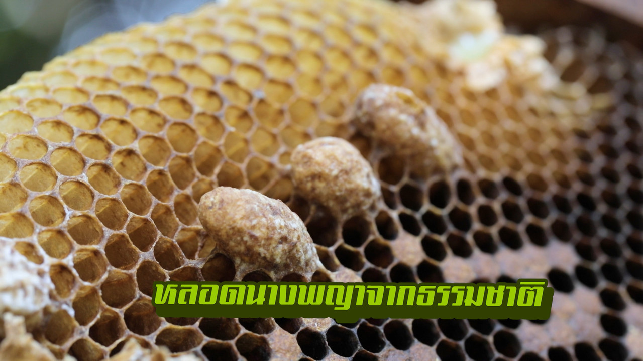 HaveANEWSDay-1-650802- (14)