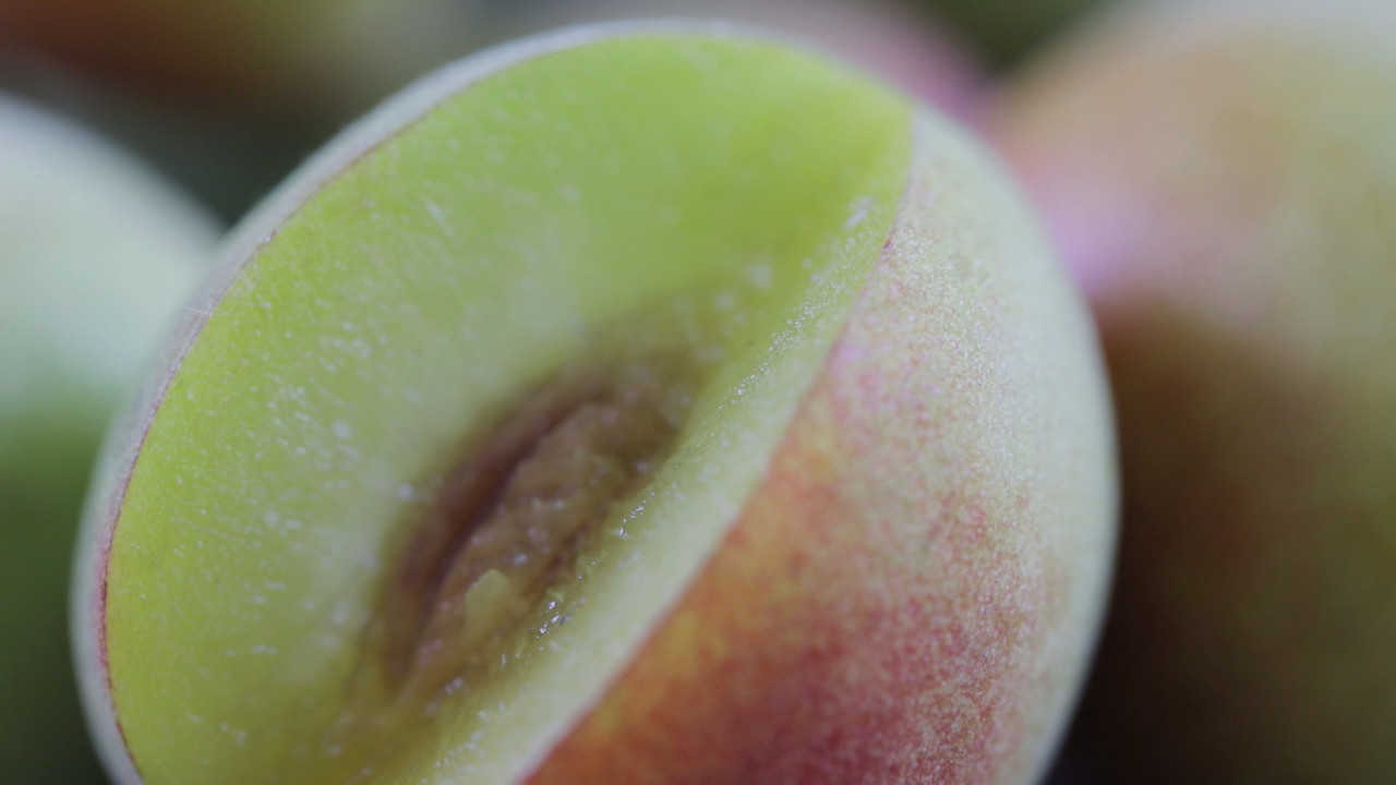 HaveANEWSDay-1-650805- (26)