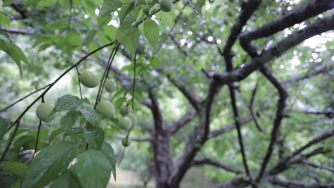 HaveANEWSDay-1-650805- (14)