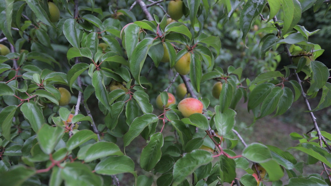 HaveANEWSDay-1-650805- (23)