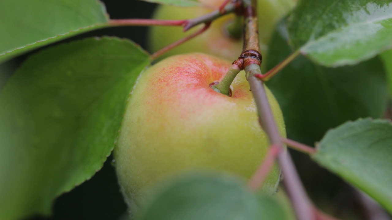 HaveANEWSDay-1-650805- (18)