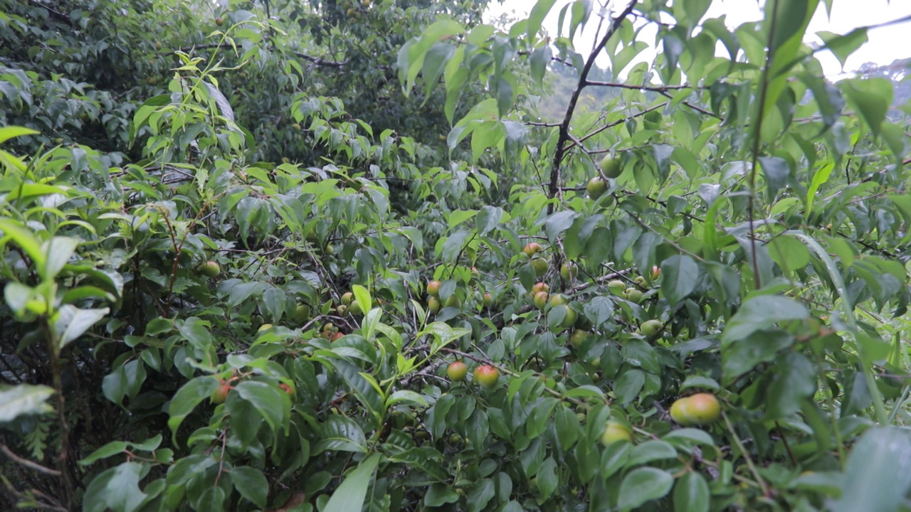 HaveANEWSDay-1-650805- (25)