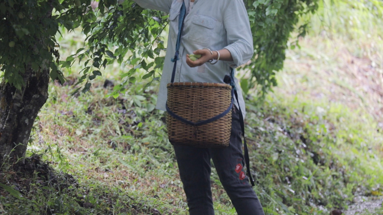 HaveANEWSDay-1-650805- (13)