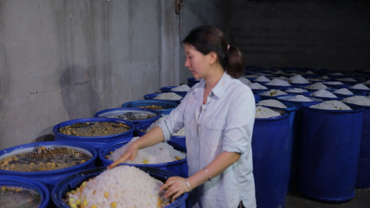 HaveANEWSDay-1-650805- (27)