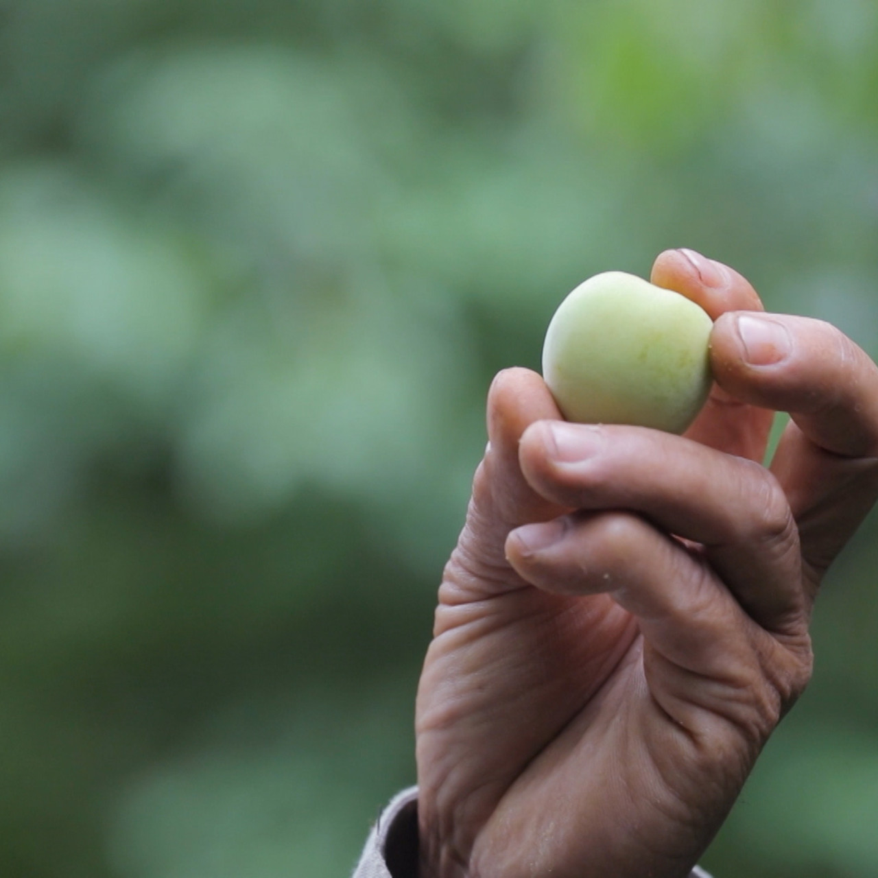 HaveANEWSDay-1-650805- (15)