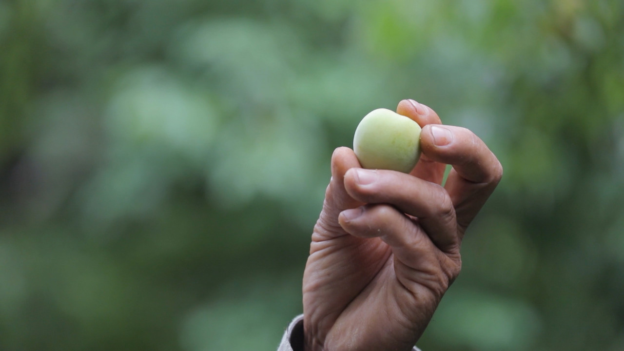 HaveANEWSDay-1-650805- (15)