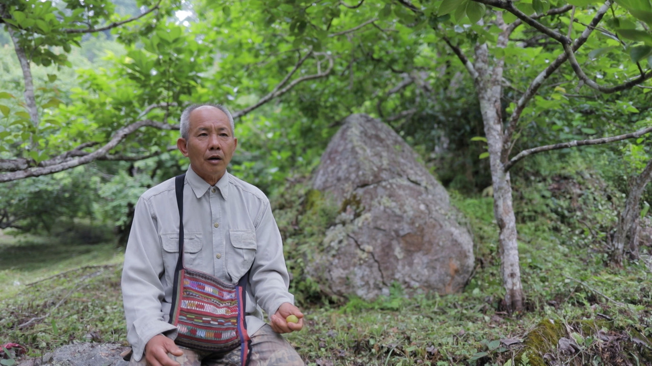 HaveANEWSDay-1-650805- (22)