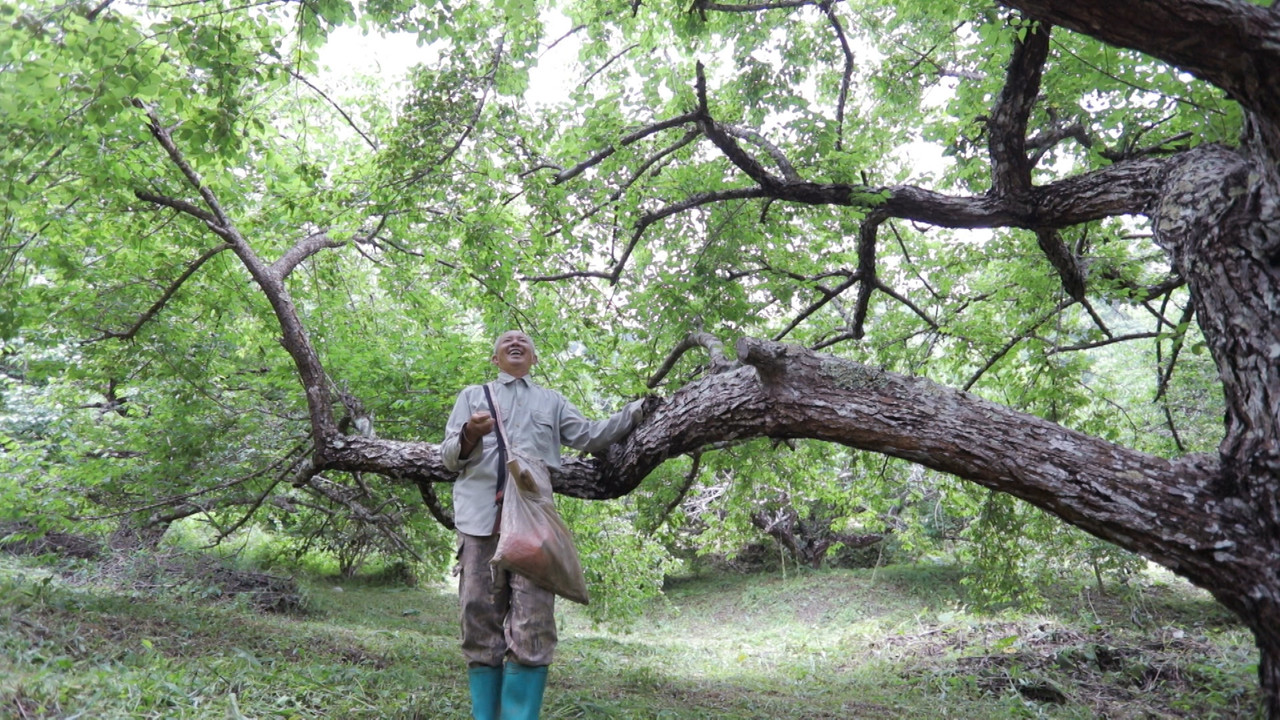 HaveANEWSDay-1-650805- (16)