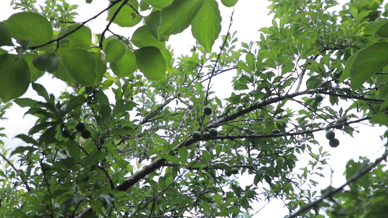 HaveANEWSDay-1-650805- (17)