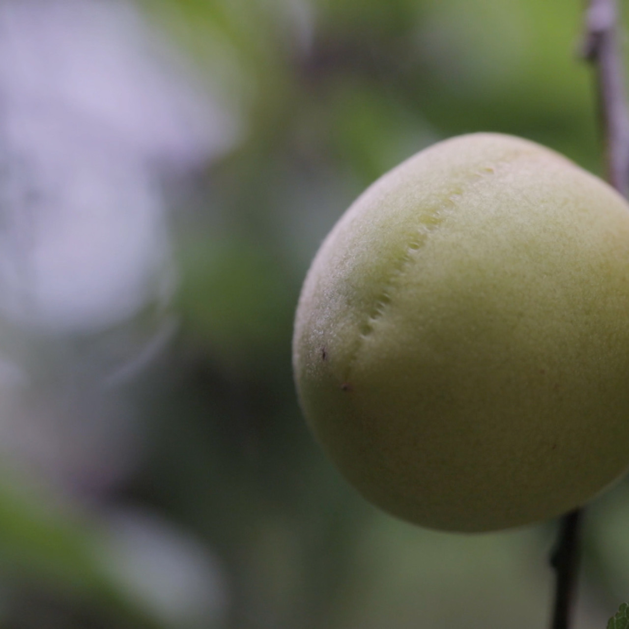 HaveANEWSDay-1-650805- (11)