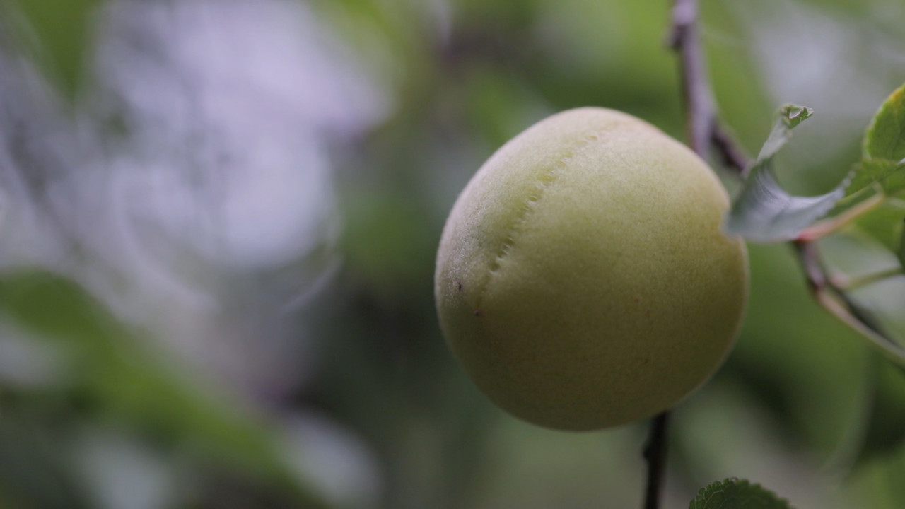 HaveANEWSDay-1-650805- (11)