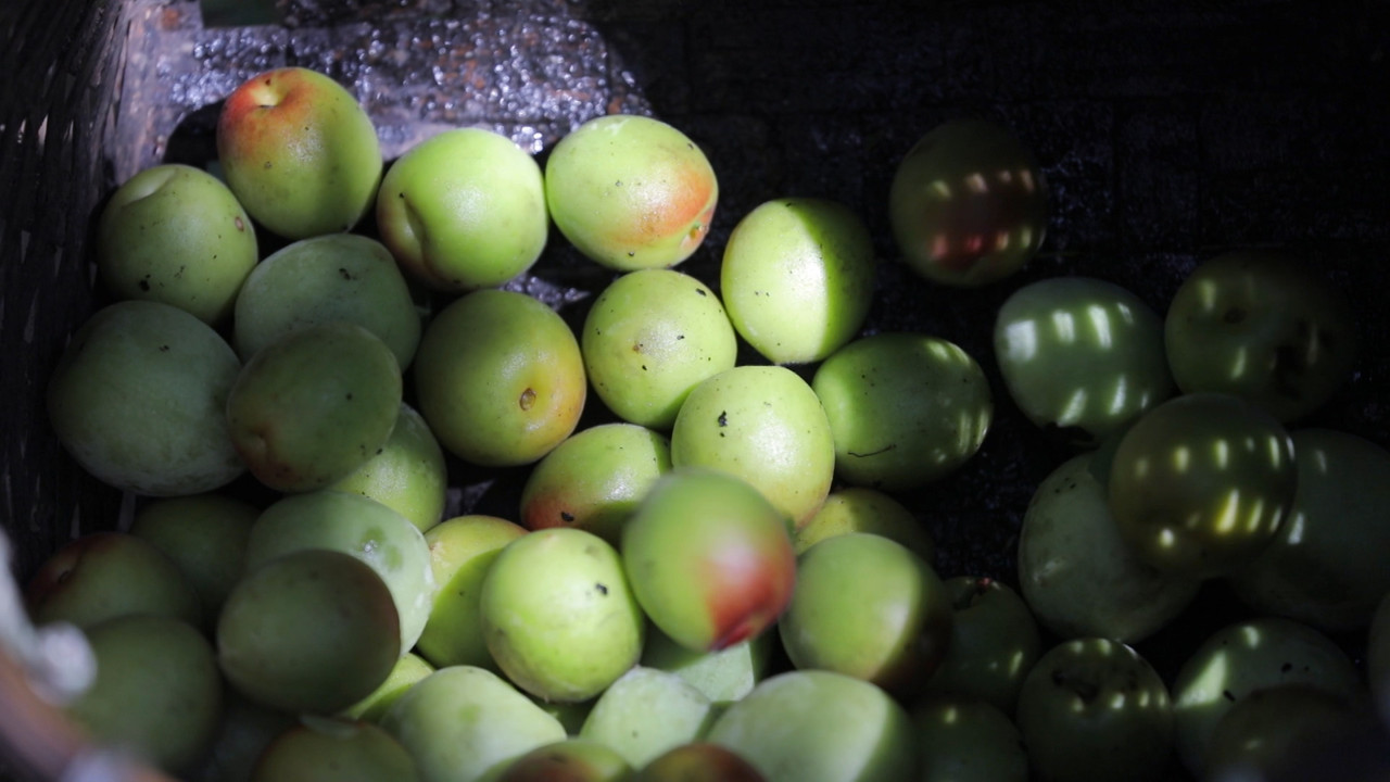 HaveANEWSDay-1-650805- (19)