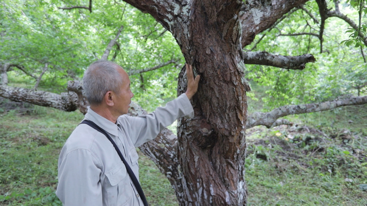 HaveANEWSDay-1-650805- (29)