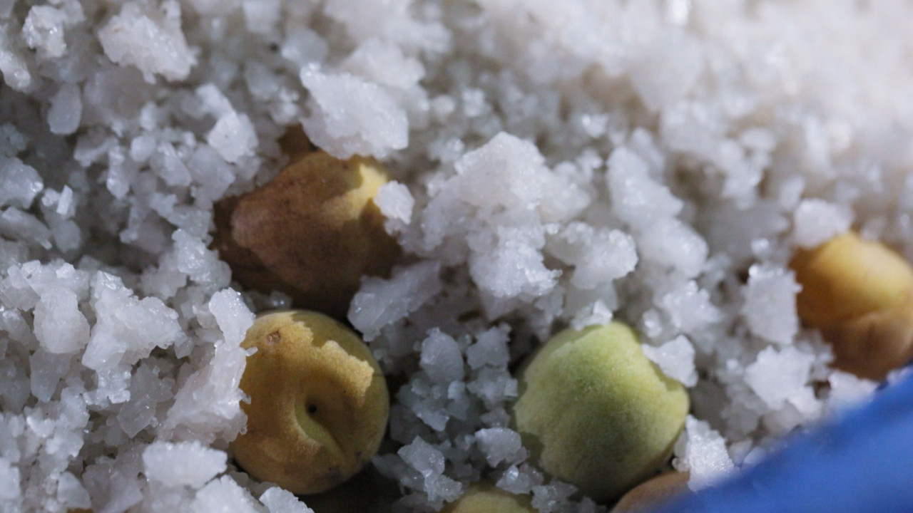 HaveANEWSDay-1-650805- (28)