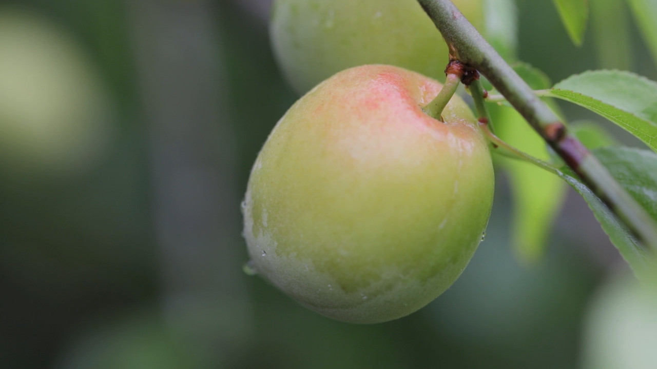 HaveANEWSDay-1-650805- (24)