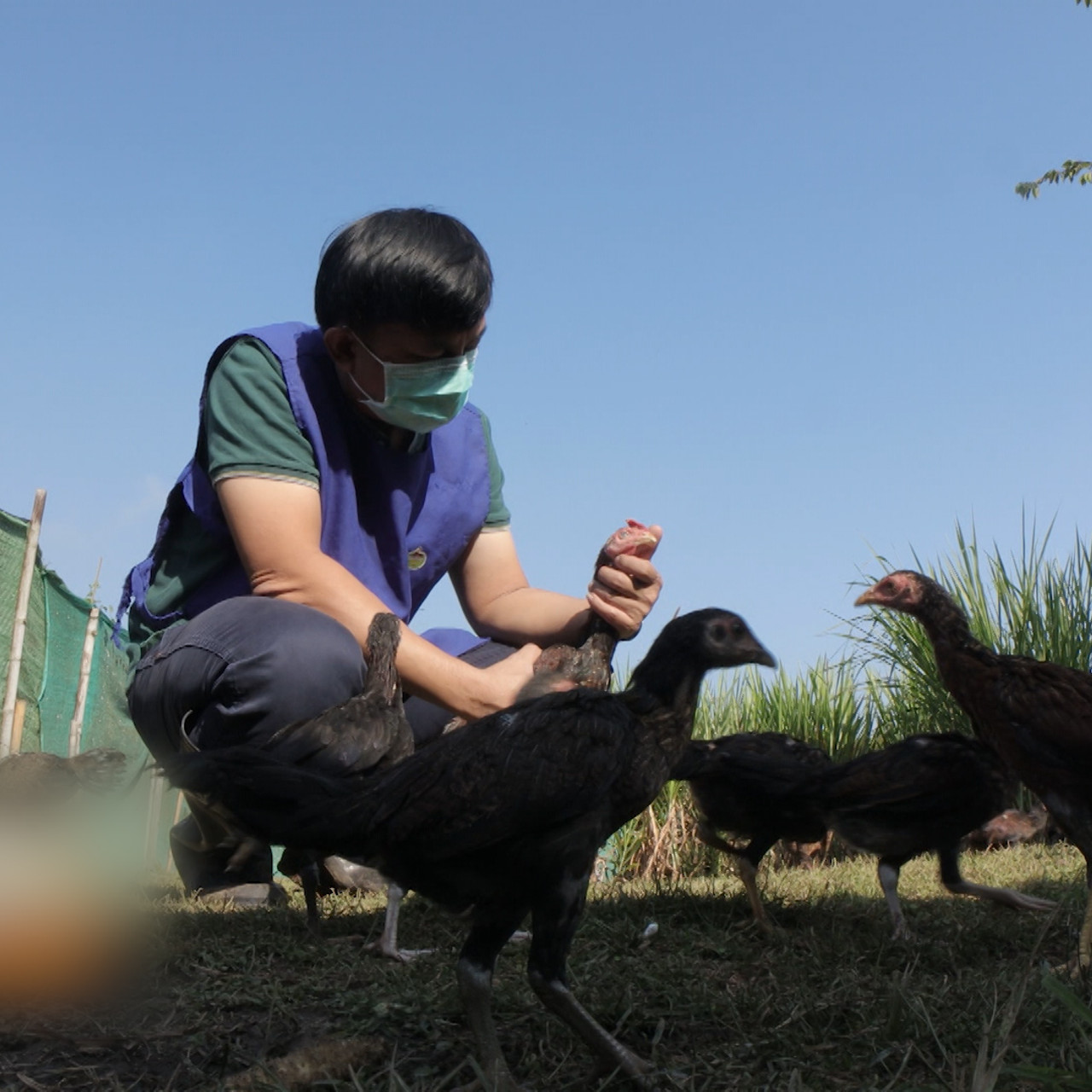 HAVE A NEWSDAY_650812 (11)