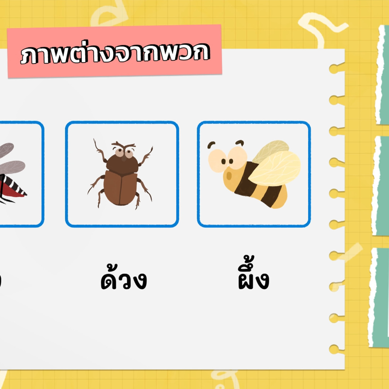 KidsSanook-650810-5
