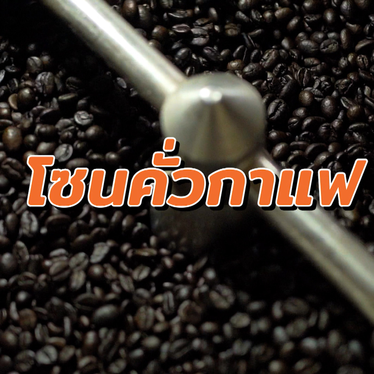 HAVE A NEWSDAY650818 (7)