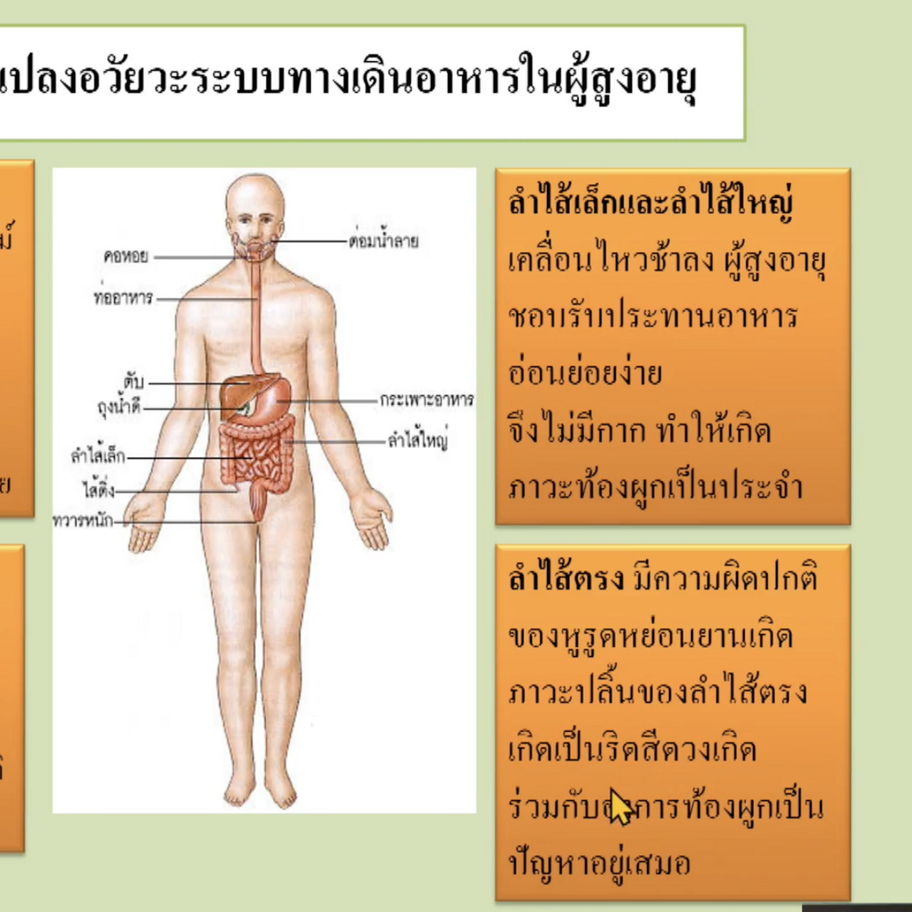 OnlineLearning_070965(4)