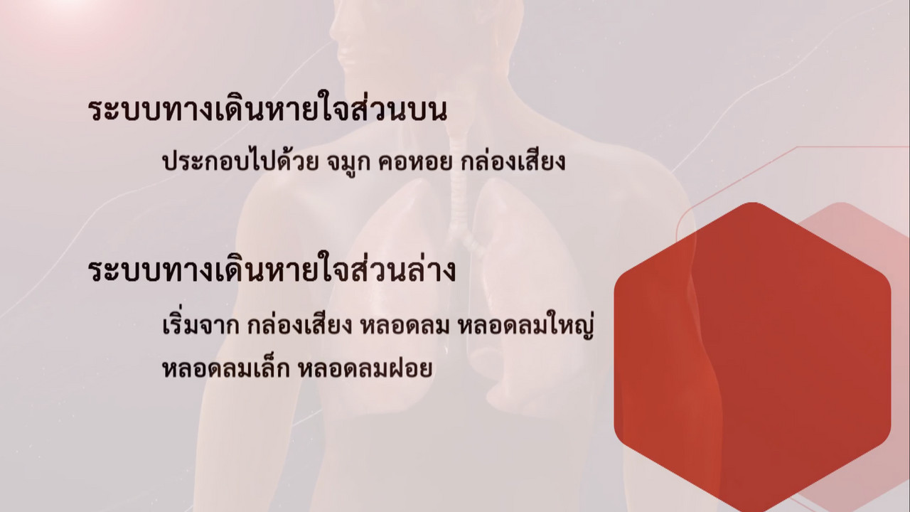 OnlineLearning_090965(9)
