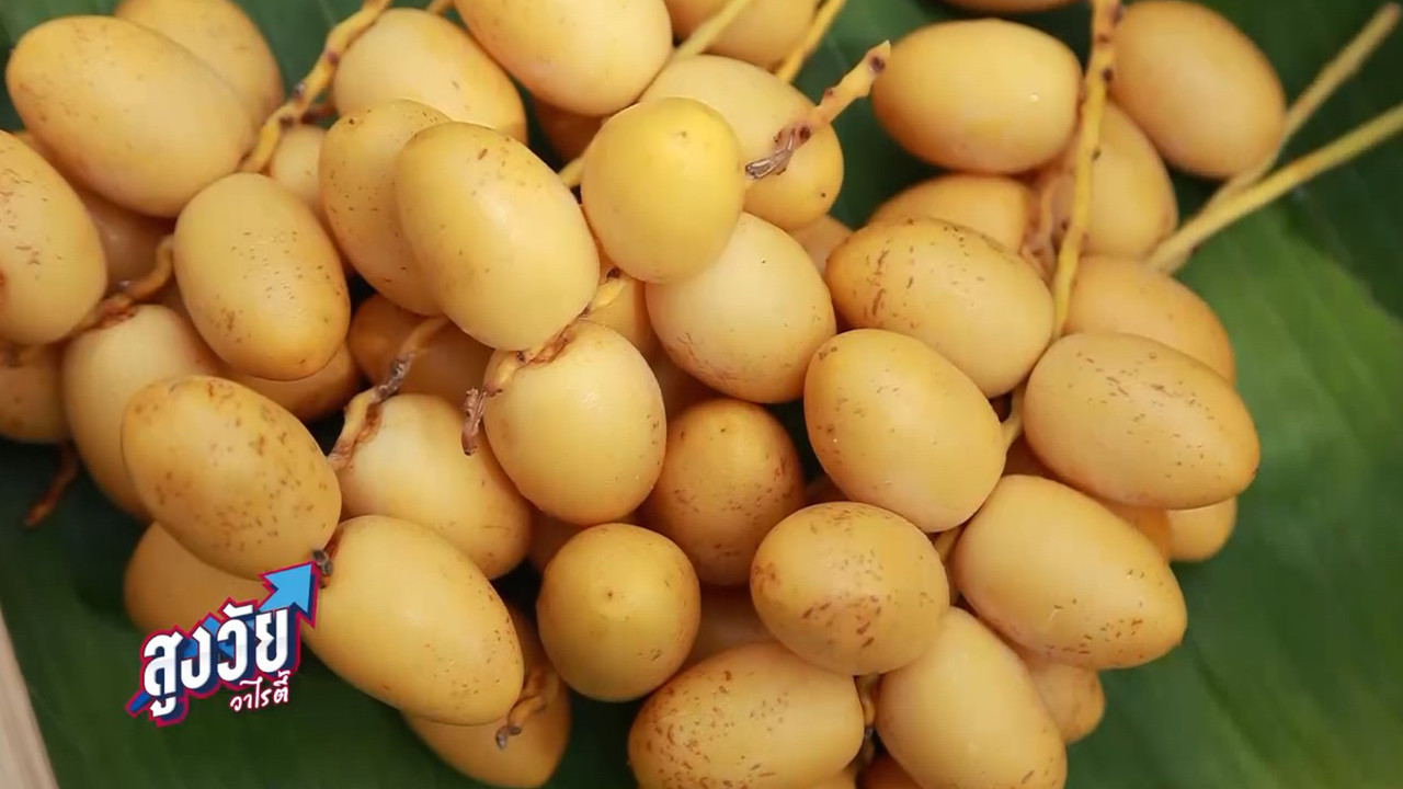 AgedVariety_650906-2