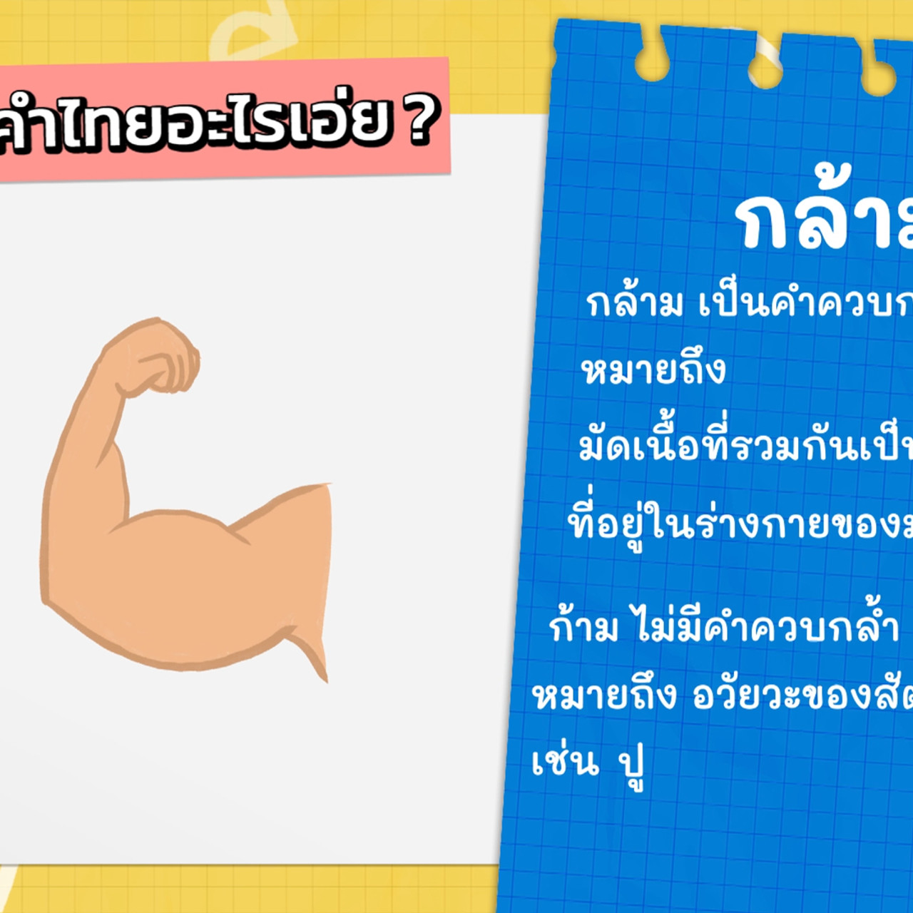 KidsSanook-651005-3