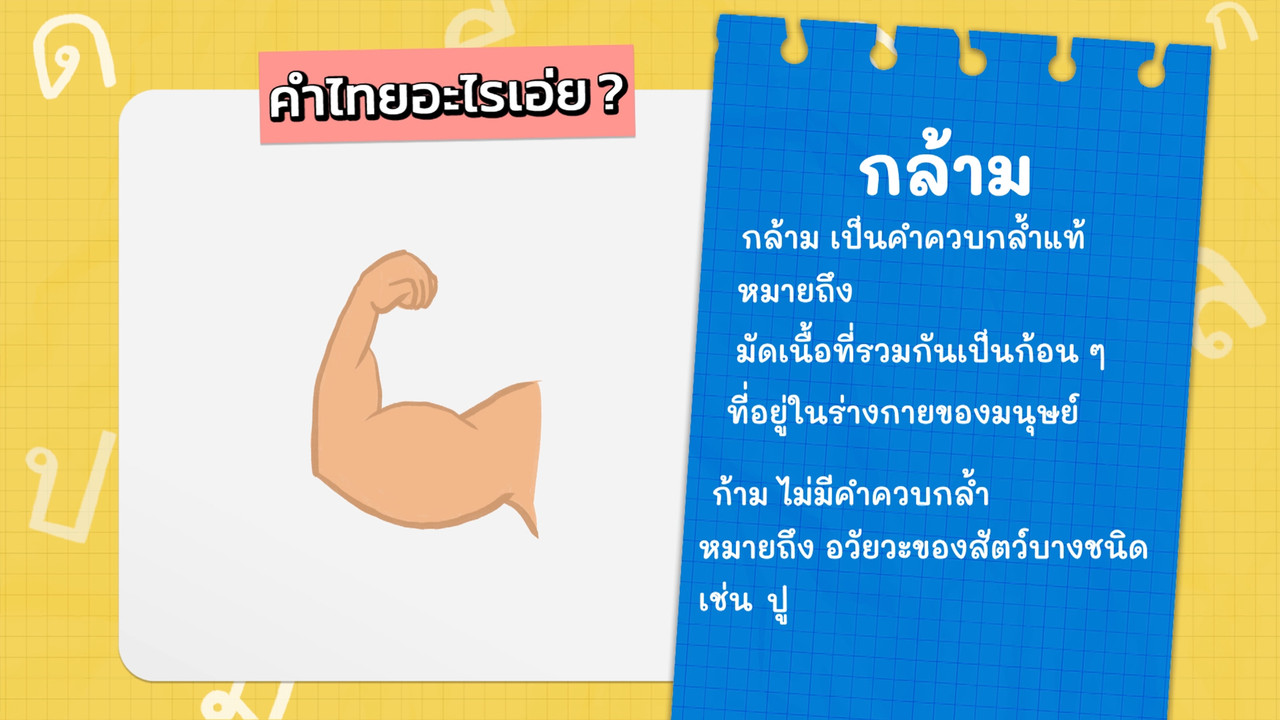 KidsSanook-651005-3