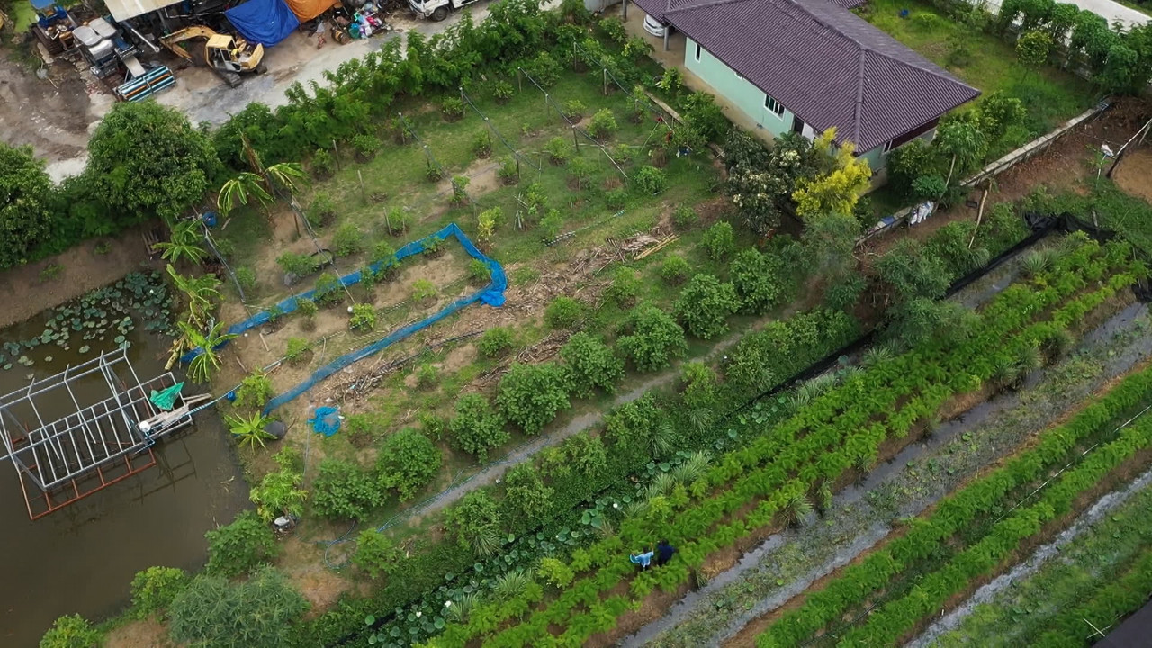 haveanewday651006 (13)