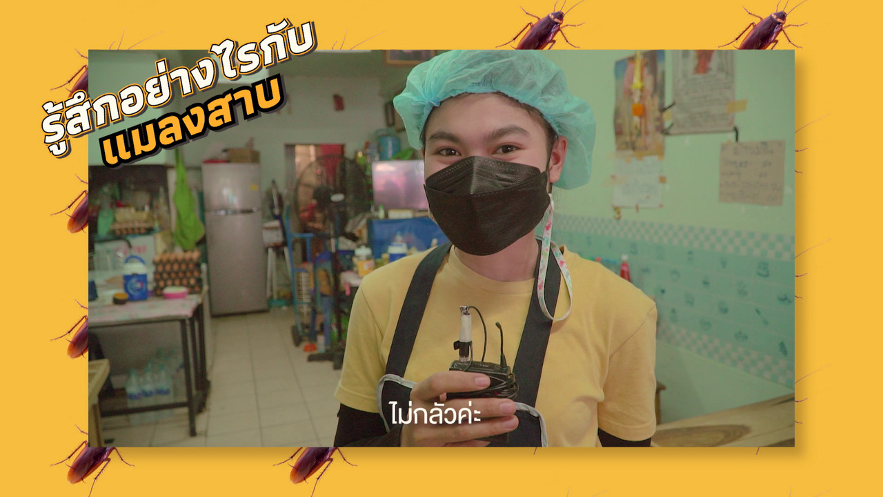 เกิดมาไมสัตว์ 0110652