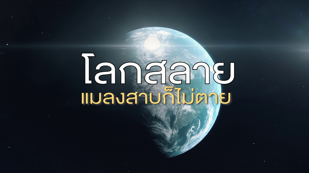 เกิดมาไมสัตว์ 0110659