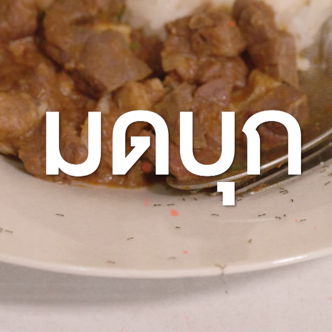 เกิดมาไมสัตว์ 1510651