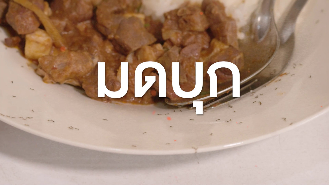 เกิดมาไมสัตว์ 1510651