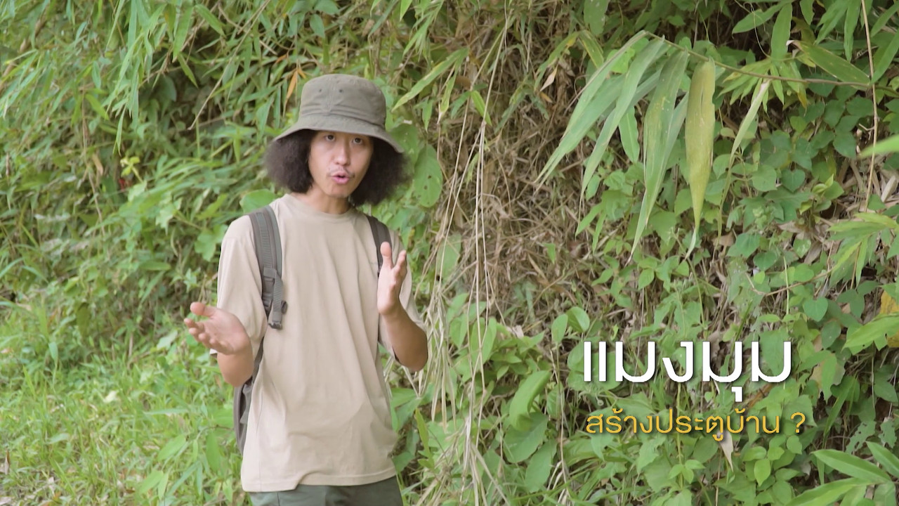 เกิดมาไมสัตว์ 2210659