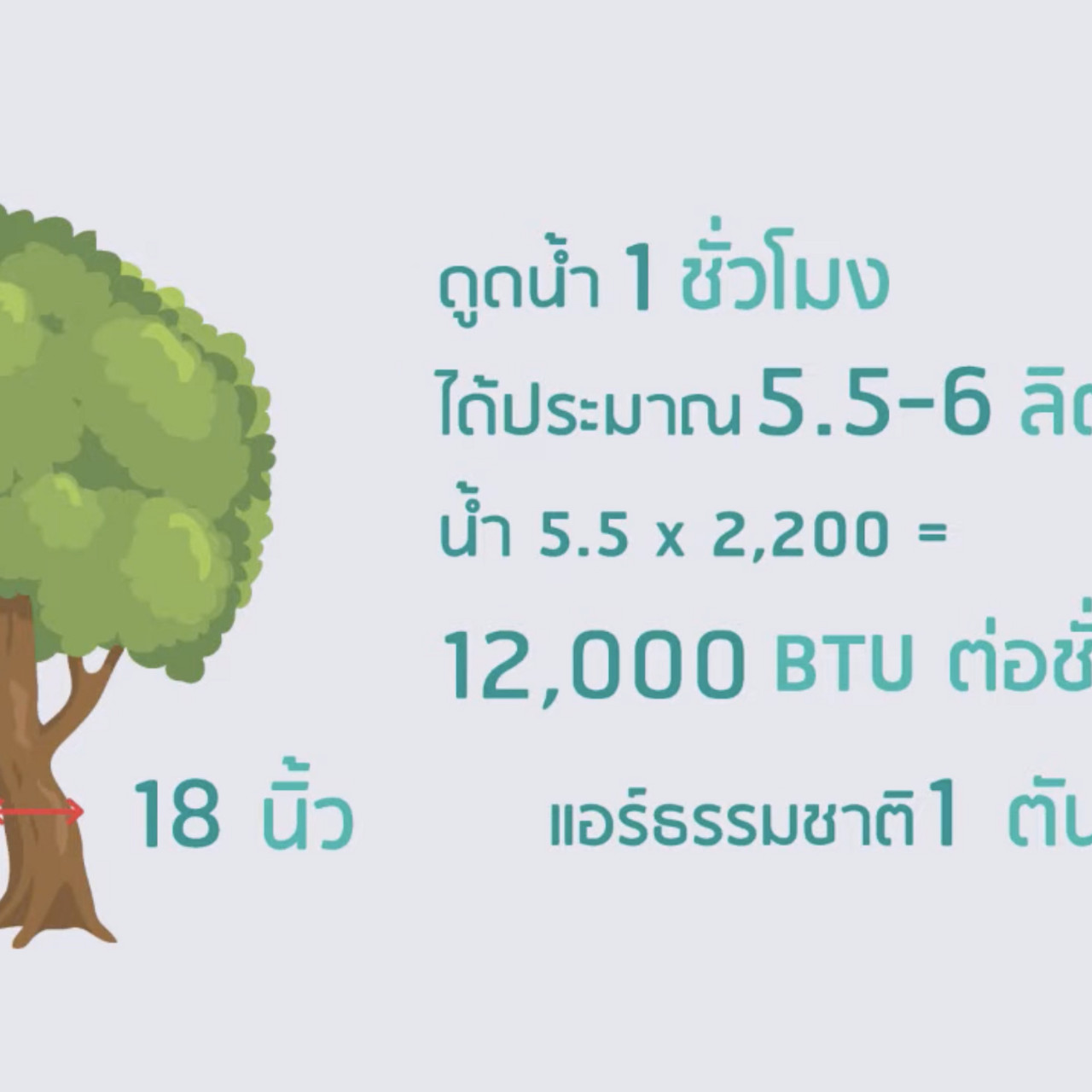 OnlineLearning_130965(8)