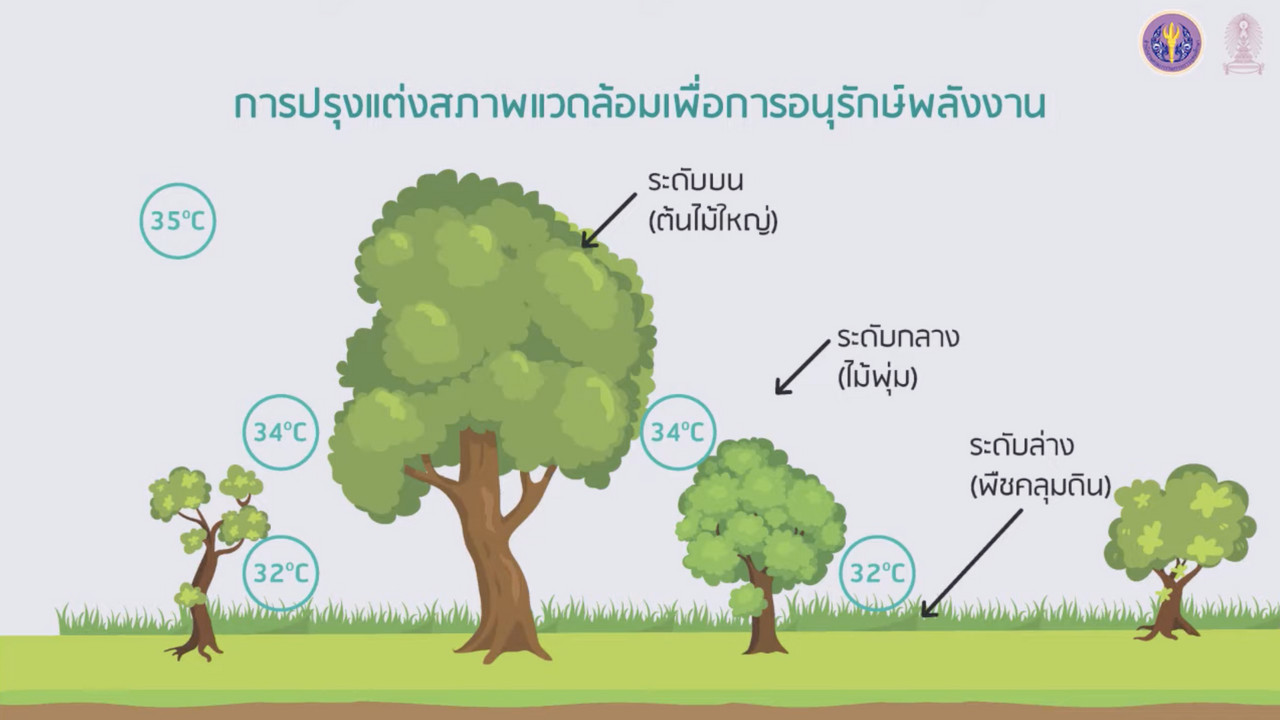 OnlineLearning_130965(9)